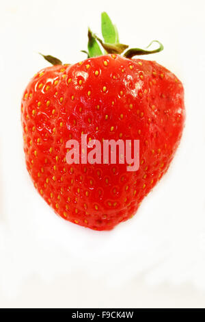 Köstliche Frucht Erdbeere fotografiert Closeup auf weißem Hintergrund Stockfoto