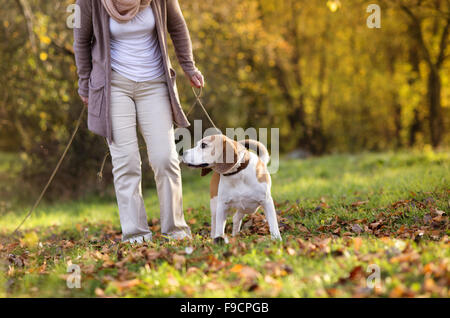 Senior Frau zu Fuß ihre Beagle-Hund in Landschaft Stockfoto