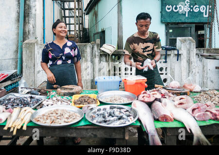 burmesische Fisch Stall von Zentralmarkt Yangon in myanmar Stockfoto