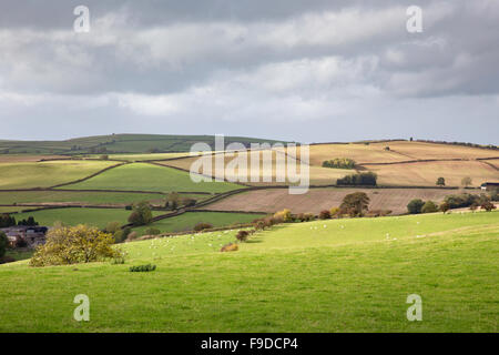 Shropshire-Landschaft, in der Nähe von Clun, Shropshire, England, UK Stockfoto