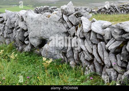 Beispiel für traditionelle Kalkstein Trockenmauer Caher Valley Burren County Clare Irland Stockfoto