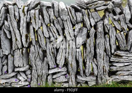 Beispiel für traditionelle Kalkstein Trockenmauer Caher Valley Burren County Clare Irland Stockfoto