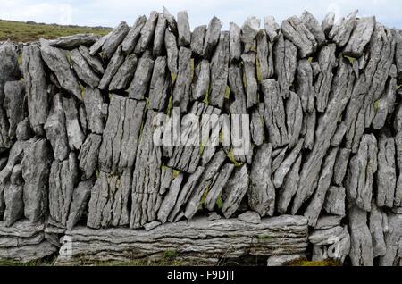 Beispiel für traditionelle Kalkstein Trockenmauer Caher Valley Burren County Clare Irland Stockfoto