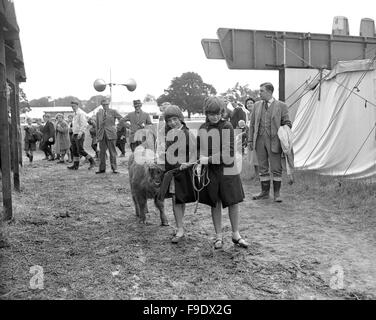 Kinder, die führenden schottischen Hochlandrinder Kälber auf The Royal Agricultural Show in Stoneleigh 1963 Stockfoto