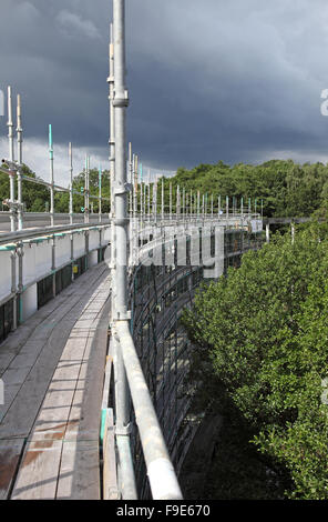 Eine gebogene Gerüststruktur umgibt ein sechsgeschossiges Bürogebäude in einem Waldgebiet. Sonnenschein, aber dunkle Wolken in Ferne Stockfoto