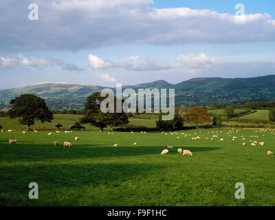 Die Clwydian Hügel in der Nähe von Rhewl, in der Vale Clwyd, Moel Arthur Zentrum mit Penycloddiau links von in der Nähe von Ruthin Denbighshire, Wales, UK Stockfoto