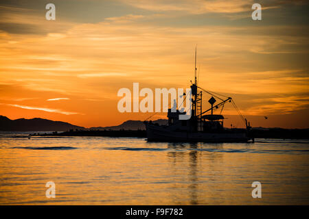 Angelboot/Fischerboot Santa Barbara Hafen verlassen, im Morgengrauen, Kalifornien, USA. Stockfoto