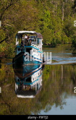 Boot fahren auf dem Fluss im Dschungel von Borneo mit Reflexion Stockfoto