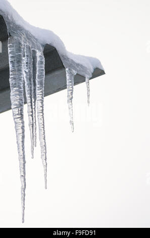 Eiszapfen wuchs an der Dachkante im winter Stockfoto