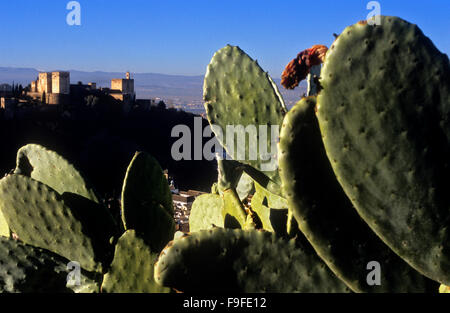 Alhambra vom Albaicín Viertel. Granada, Andalusien, Spanien Stockfoto