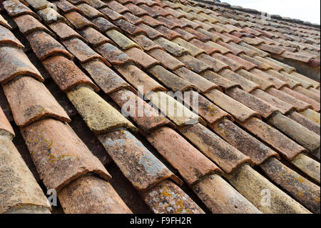 Fliesen auf den Dächern der Häuser in der Altstadt, Dubrovnik, Kroatien. Stockfoto