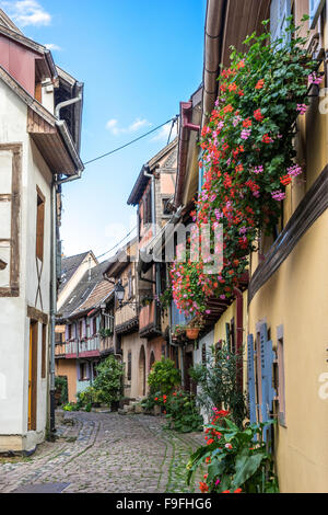 Gepflasterte Straße in Eguisheim in Haut-Rhin-Elsass-Frankreich Stockfoto