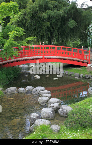 Frankreich, Paris, Albert Kahn Museum, japanischer Garten, Stockfoto