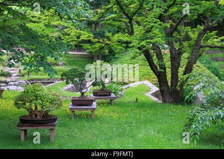 Frankreich, Paris, Albert Kahn Museum, japanischer Garten, Stockfoto