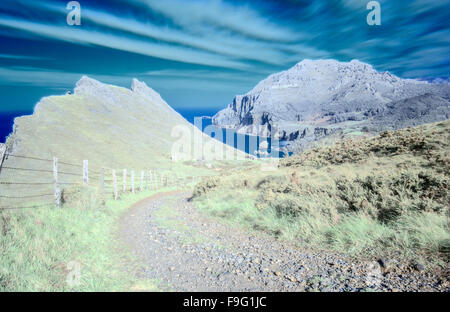 Halluzinogen bunte Infrarot-Landschaft Stockfoto