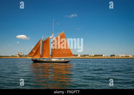 Schiff Segelyachten mit orange Segel, Boston Küste Stockfoto