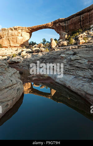 Owachomo Bridge spiegelt sich im Teich, Natural Bridges National Monument, Utah USA Stockfoto