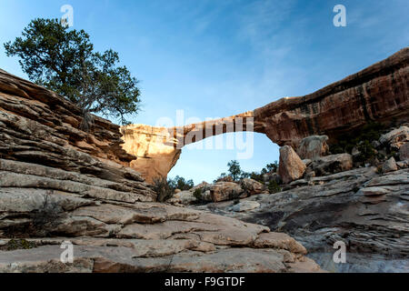 Owachomo Brücke, Natural Bridges National Monument, Utah, USA Stockfoto