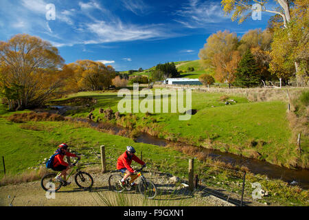 Radfahrer auf Clutha Goldenen Steig, flache Evans in der Nähe von Lawrence, Central Otago, Südinsel, Neuseeland Stockfoto