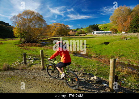 Radfahrer auf Clutha Goldenen Steig, flache Evans in der Nähe von Lawrence, Central Otago, Südinsel, Neuseeland Stockfoto