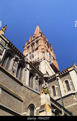 St. Pauls-Kathedrale in Melbourne, Victoria, Australien an einem sonnigen Sommertag. Stockfoto