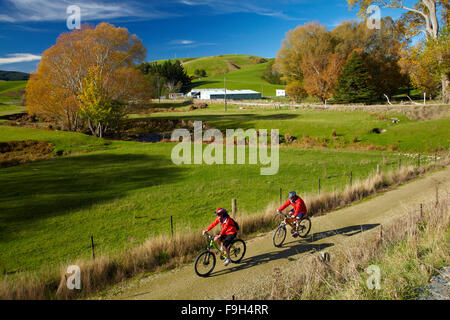 Radfahrer auf Clutha Goldenen Steig, flache Evans in der Nähe von Lawrence, Central Otago, Südinsel, Neuseeland Stockfoto