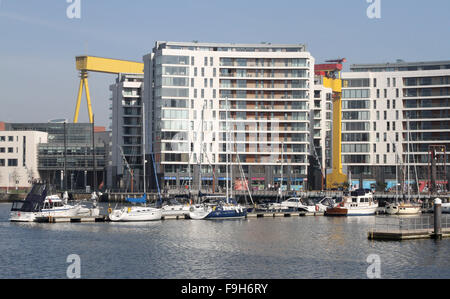 Belfast Hafen Marina Stockfoto