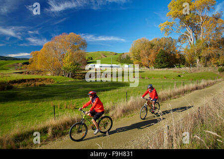 Radfahrer auf Clutha Goldenen Steig, flache Evans in der Nähe von Lawrence, Central Otago, Südinsel, Neuseeland Stockfoto