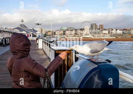 Eine Frau, die Fütterung einer Möwe, Pier von Brighton, Brighton, Sussex, UK Stockfoto