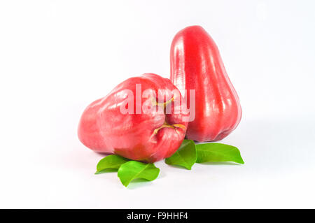 Rosenapfel, isoliert auf weißem Hintergrund Stockfoto