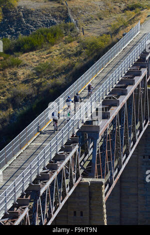 Radfahrer auf Poolburn-Viadukt, Poolburn Schlucht, Otago Central Rail Trail, Central Otago, Südinsel, Neuseeland Stockfoto