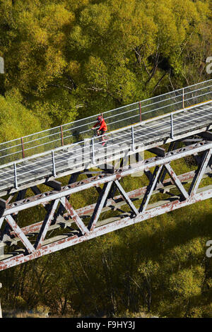 Radfahrer auf Poolburn-Viadukt, Poolburn Schlucht, Otago Central Rail Trail, Central Otago, Südinsel, Neuseeland Stockfoto