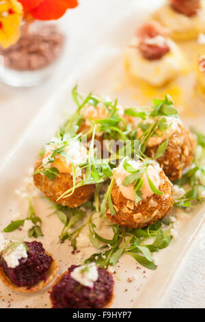 Koch Platte Vorspeise Sampler von Eggamuffin, Rüben Torten in Parmesan Gebäck Schale und Ranchero scotch Eiern, Barbareno Restaurant Stockfoto