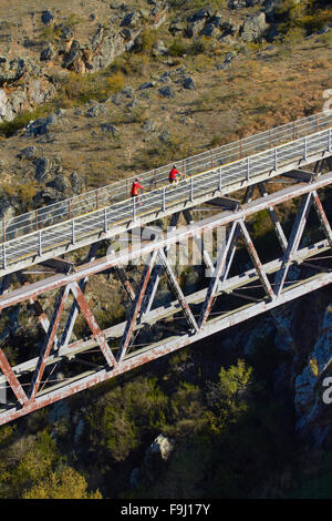 Radfahrer auf Poolburn-Viadukt, Poolburn Schlucht, Otago Central Rail Trail, Central Otago, Südinsel, Neuseeland Stockfoto