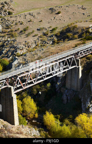 Radfahrer auf Poolburn-Viadukt, Poolburn Schlucht, Otago Central Rail Trail, Central Otago, Südinsel, Neuseeland Stockfoto