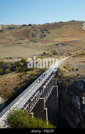 Radfahrer auf Poolburn-Viadukt, Poolburn Schlucht, Otago Central Rail Trail, Central Otago, Südinsel, Neuseeland Stockfoto