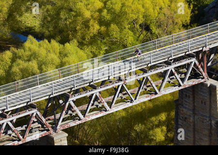 Radfahrer auf Poolburn-Viadukt, Poolburn Schlucht, Otago Central Rail Trail, Central Otago, Südinsel, Neuseeland Stockfoto