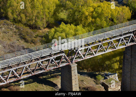 Radfahrer auf Poolburn-Viadukt, Poolburn Schlucht, Otago Central Rail Trail, Central Otago, Südinsel, Neuseeland Stockfoto