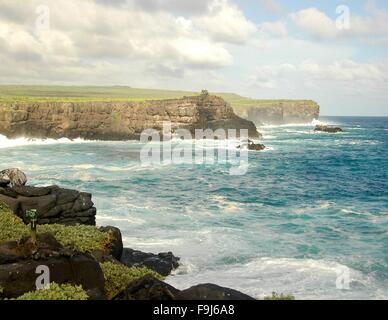 Wellen gegen die Küste auf der Insel Española, Galapagos, Ecuador. Stockfoto