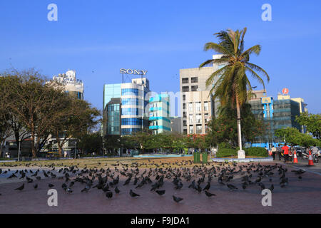 Parkanlage, Vögel, Gebäude und Verkehr auf der dicht besiedelten Insel Male auf den Malediven, Indischer Ozean. Stockfoto