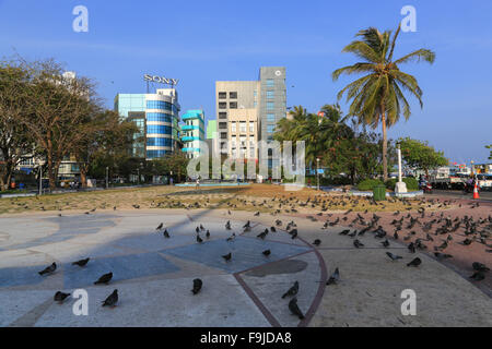 Parkanlage, Vögel, Gebäude und Verkehr auf der dicht besiedelten Insel Male auf den Malediven, Indischer Ozean. Stockfoto