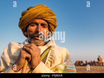 Porträt von einem senior Rajasthani und mit einem gelben Turban, Pushkar, Rajasthan, Indien Stockfoto