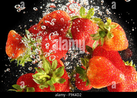 Erdbeeren in Wasser bei schwarzem Hintergrund fallen Stockfoto