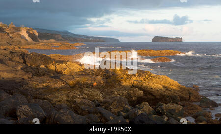 Rock, Küste, Calheta da Cabra, Água de Pau, São Miguel, gewesen, portugal Stockfoto