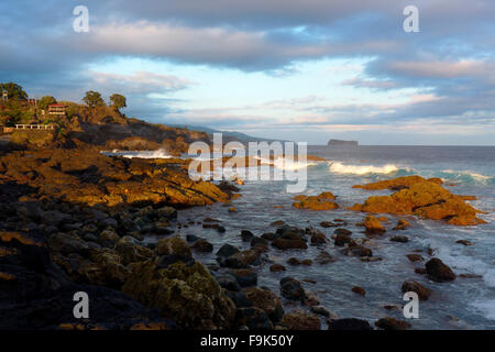 Rock, Küste, Calheta da Cabra, Água de Pau, São Miguel, gewesen, portugal Stockfoto