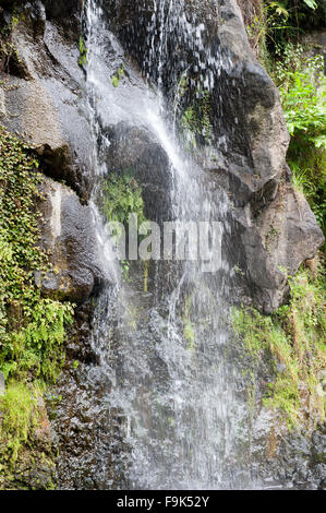 Wasserfall am Parque natural da Ribeira Dos Caldeirões, São Miguel, Azoren, portugal Stockfoto