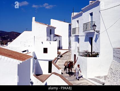 Mann zu Fuß Esel liefert Zementsäcke durch die steilen Gassen, Frigiliana, Provinz Malaga, Andalusien, Spanien. Stockfoto
