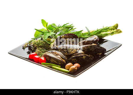 Wilde Muschel-Makro-Studio-Shooting Stockfoto