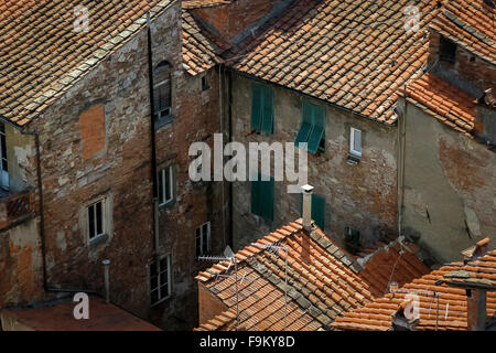 Blick über die Dächer in Lucca, Italien. Stockfoto