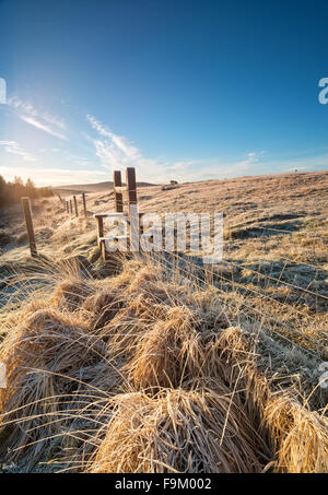 Einem kalten frostigen Morgen in einem alten Stil auf Bodmin Moor in Cornwall Stockfoto